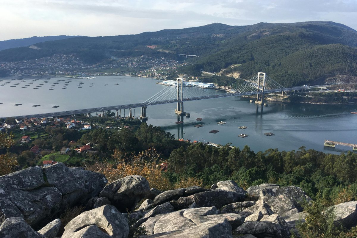 Vigo, Galicija – laivai Real Club Náutico prieplaukoje, miesto panorama fone