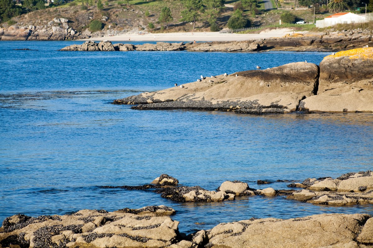 Rías Baixas, Galicija – buriavimas apsaugotose jūros įlankose, žalios kalvos horizonte