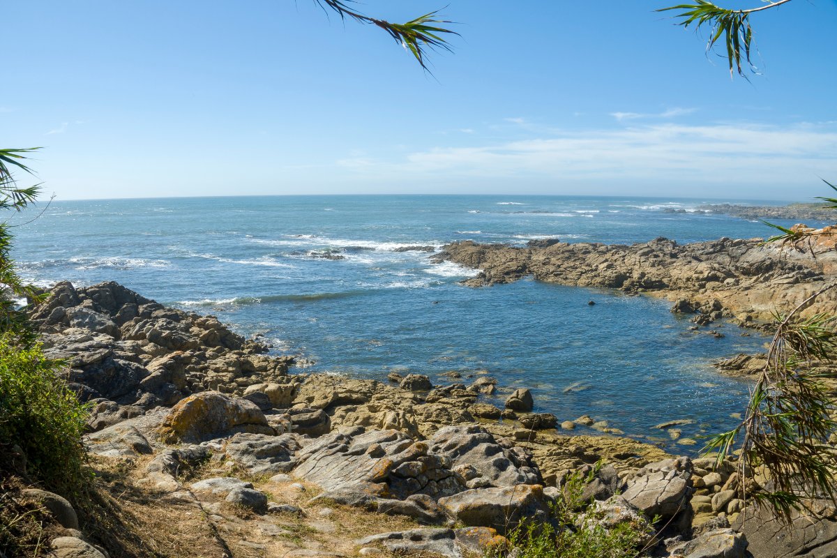 Pontevedros įlanka, Galicija – buriavimas apsaugotose vandenyse, salos horizonte